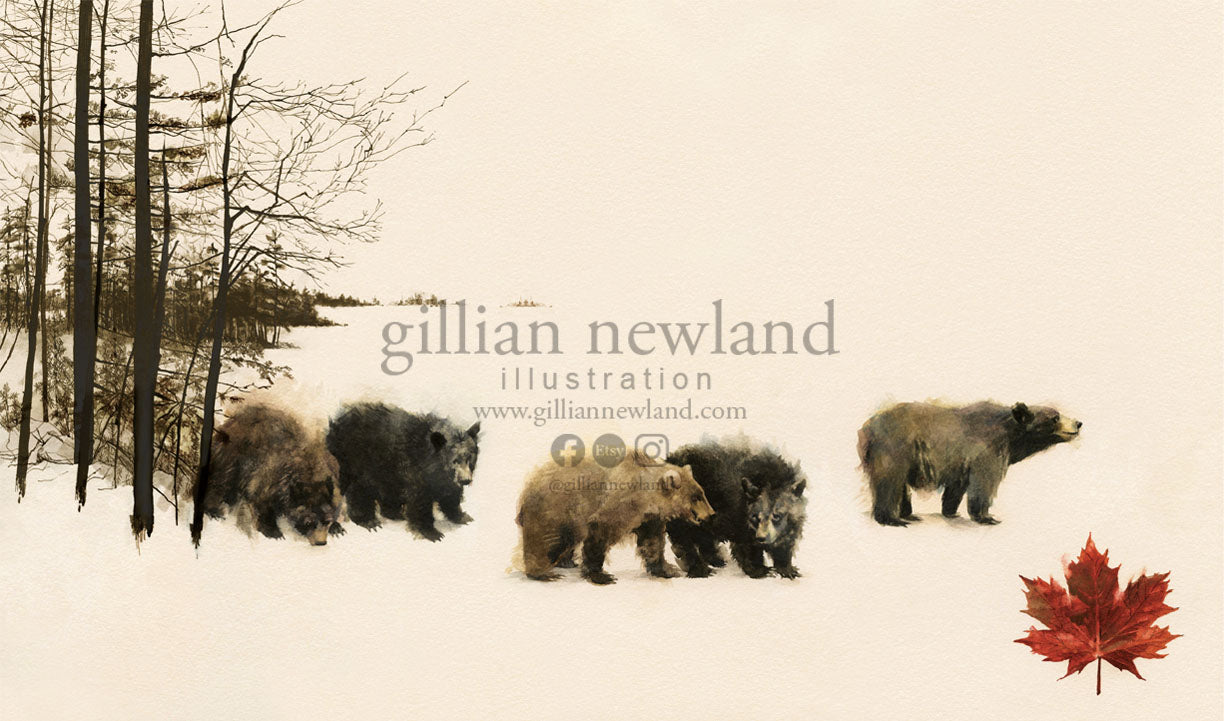 Series of Animals: Bears