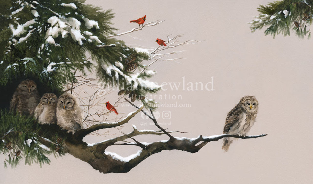 Series of Animals: Little Winter Owls