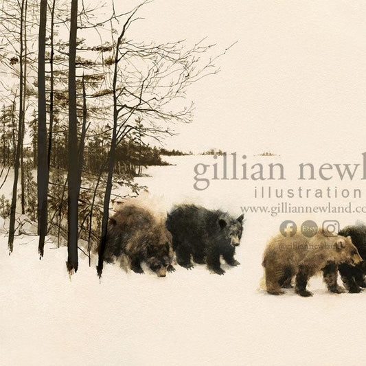 Series of Animals: Bears