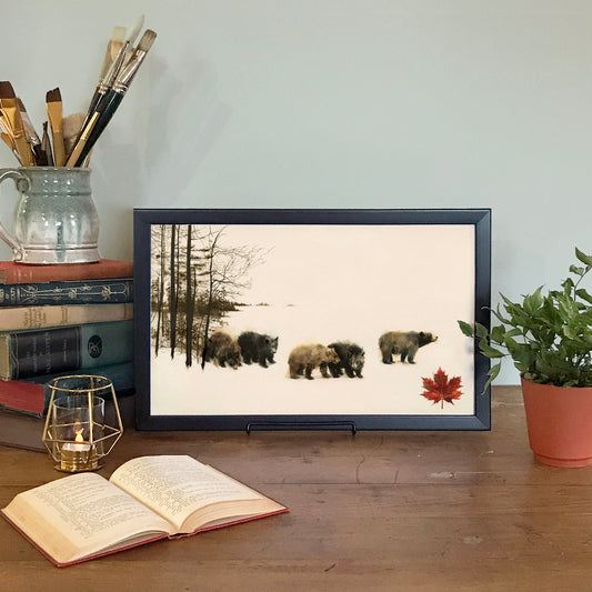 Series of Animals: Bears