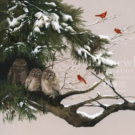 Series of Animals: Little Winter Owls