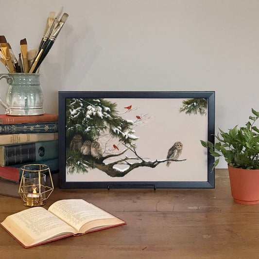 Series of Animals: Little Winter Owls