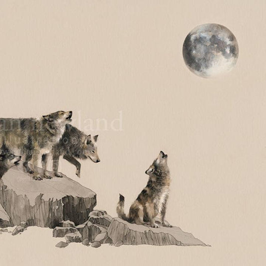 Series of Animals: Wolf Pack