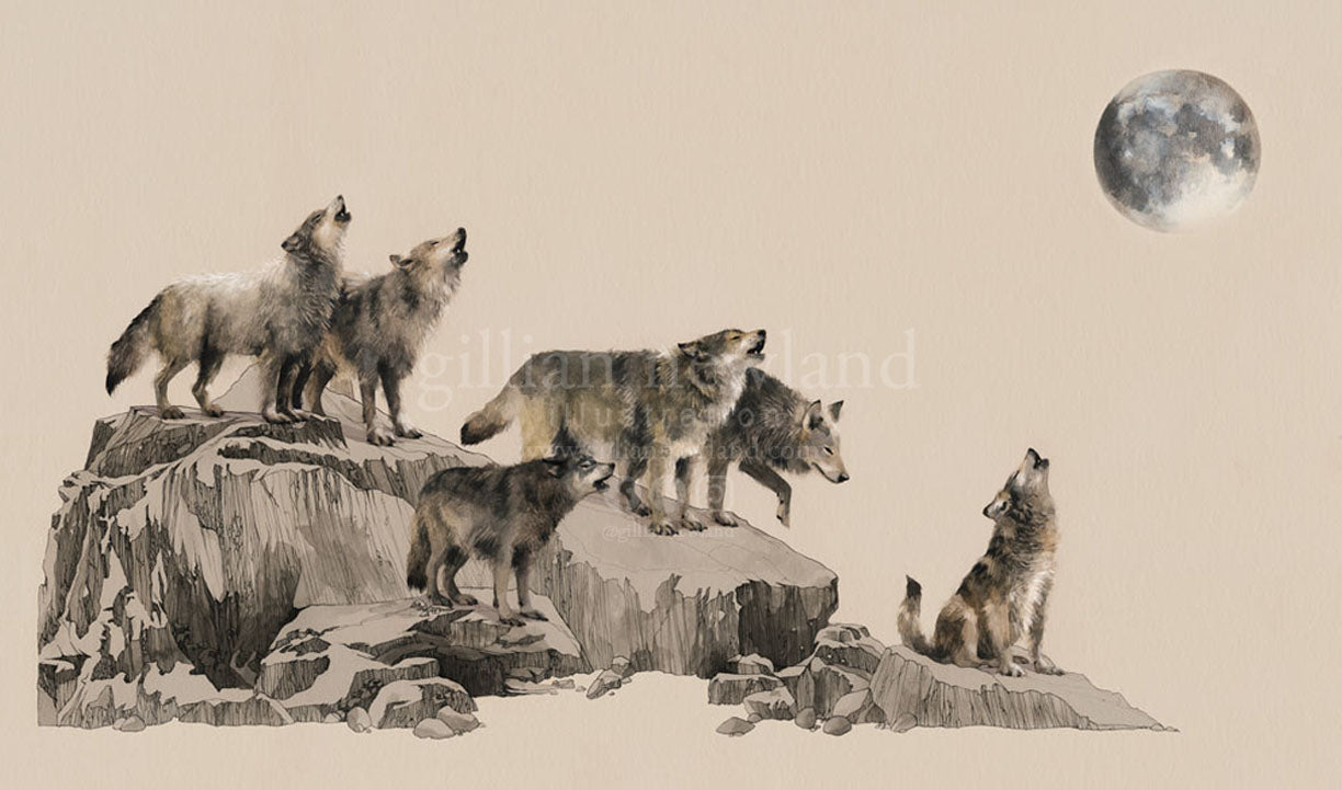 Series of Animals: Wolf Pack