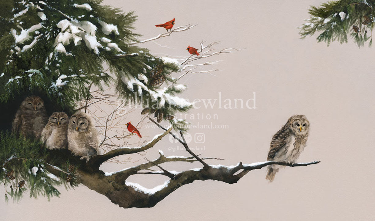 Animal Series: Little Winter Owls